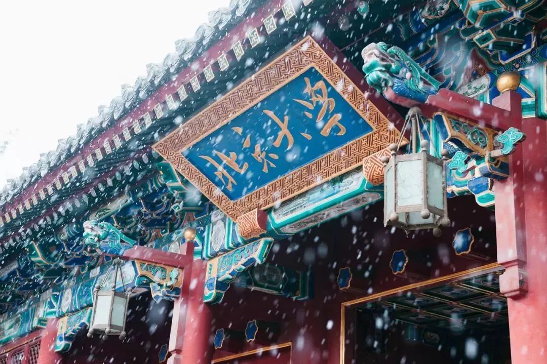 北大的戴威,為何輸給瞭三本的胡瑋煒?